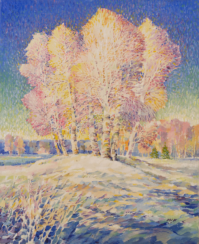 Birches in the Winter Field